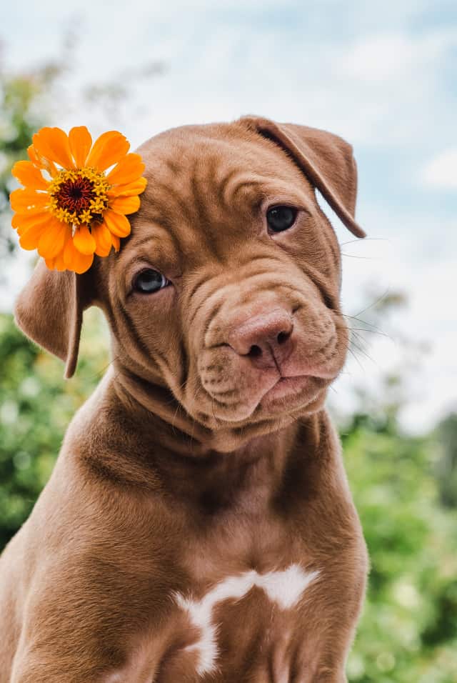 Қараушылардың 1 айдағы орта есебі - фото №20013