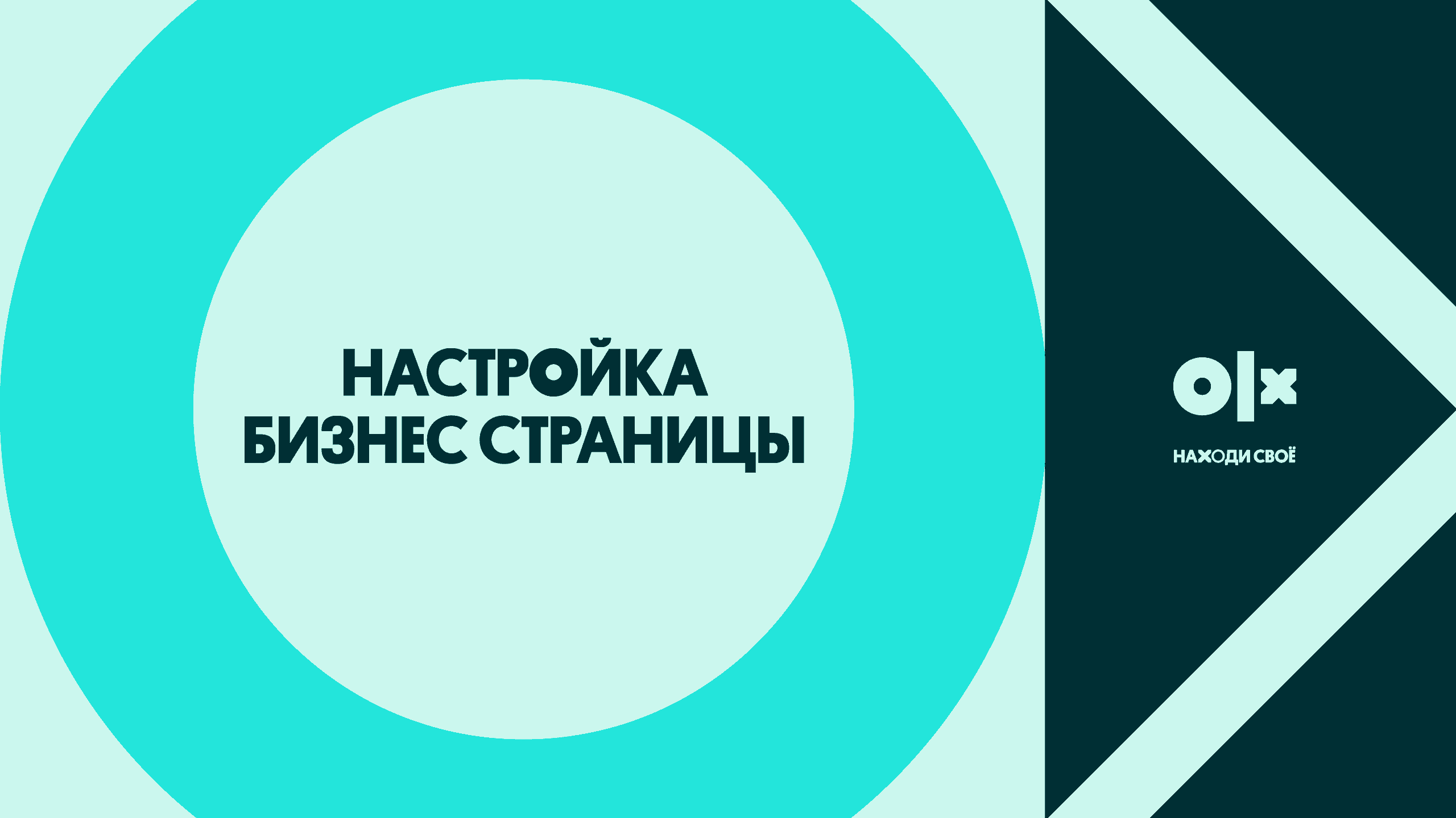 OLX-те бизнес парақшаны қалай баптауға болады - фото №19925